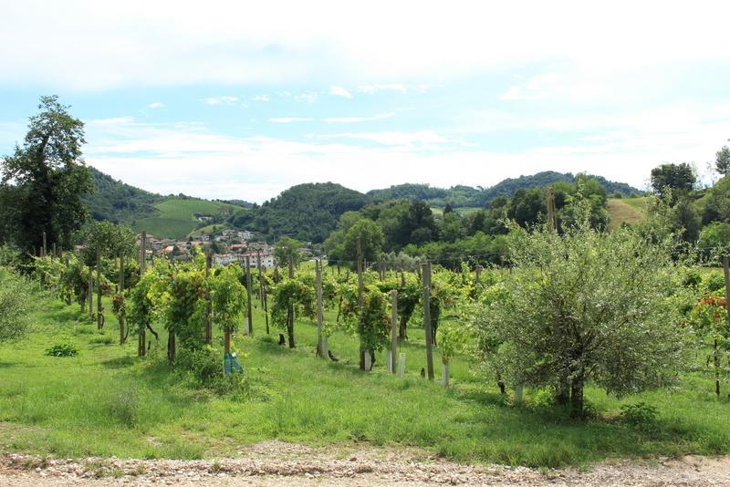 Agriturismo Mazzeracca Μπασάνο Ντελ Γκράπα Εξωτερικό φωτογραφία