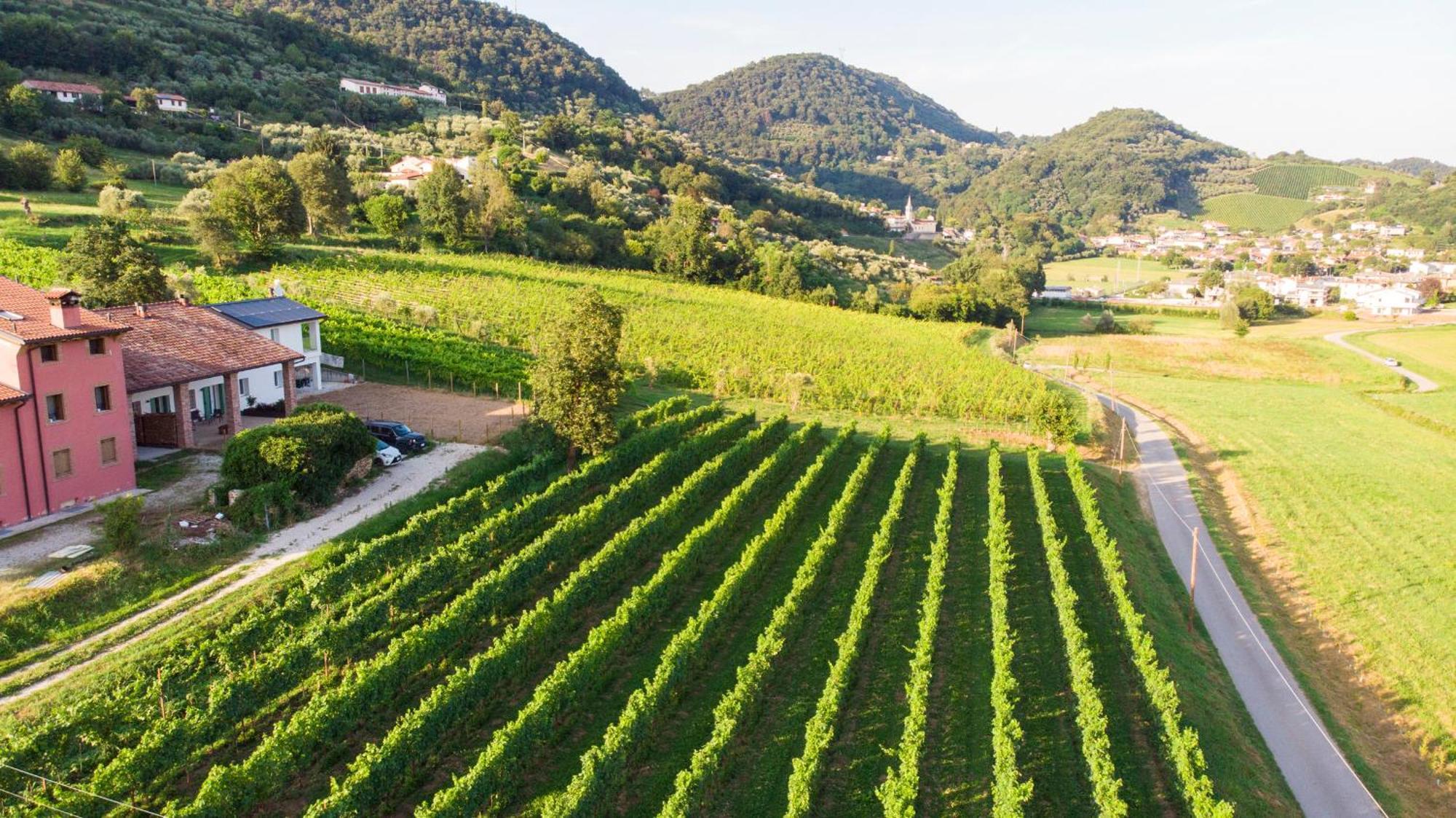 Agriturismo Mazzeracca Μπασάνο Ντελ Γκράπα Εξωτερικό φωτογραφία